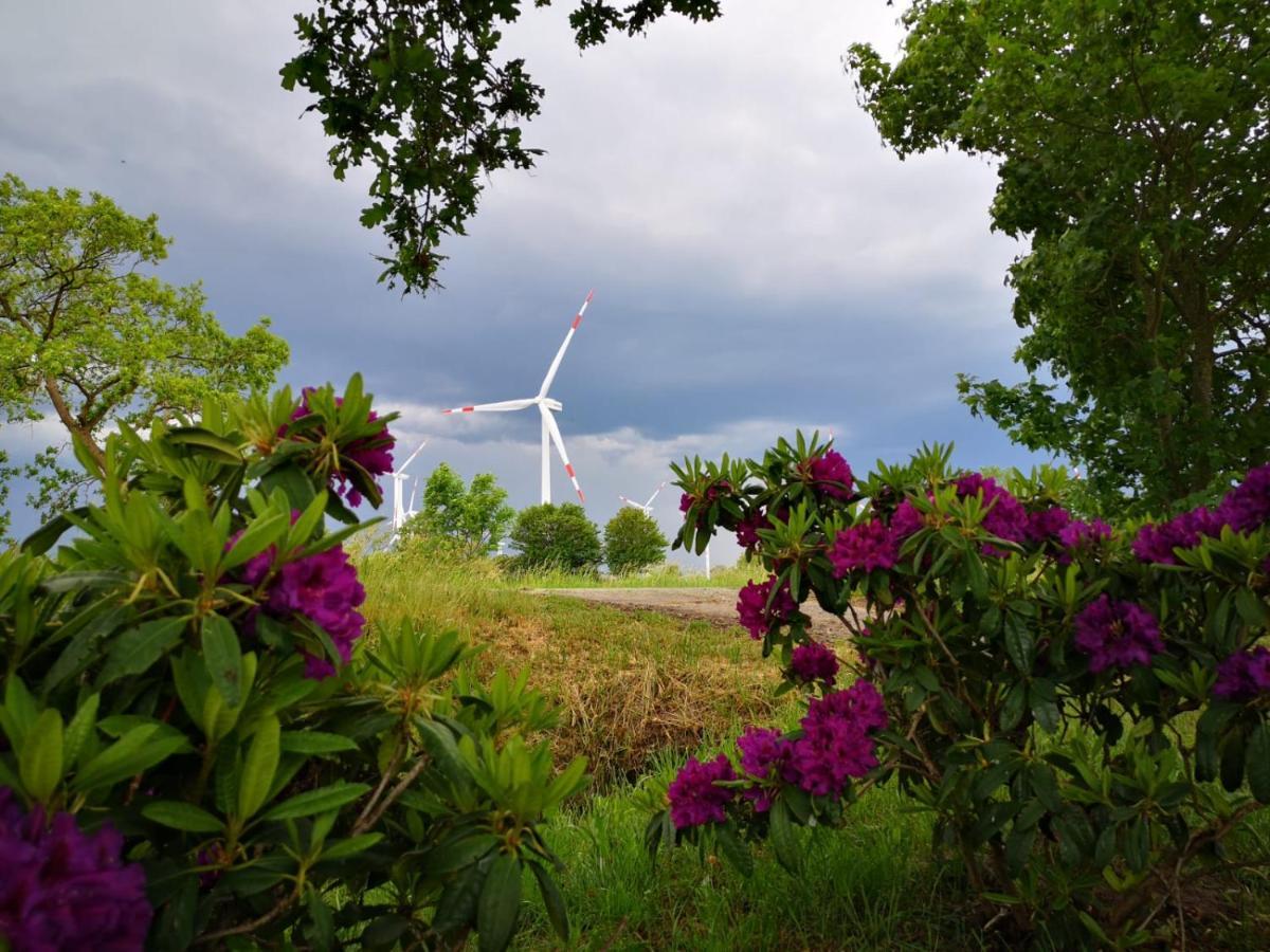 Ferienhaus Staben Eggstedt Esterno foto